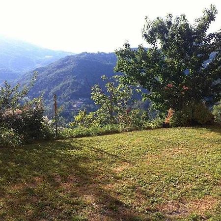 Ospitaci Appartamenti Di Campagna Le Rancole Valtopina エクステリア 写真